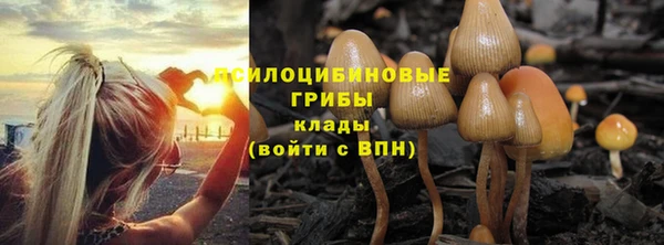 спиды Алексеевка