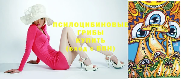 спиды Алексеевка