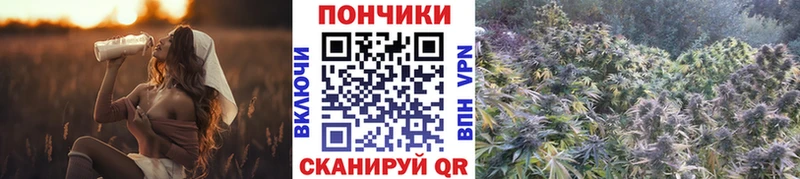 omg сайт  Алексин  Марихуана White Widow 